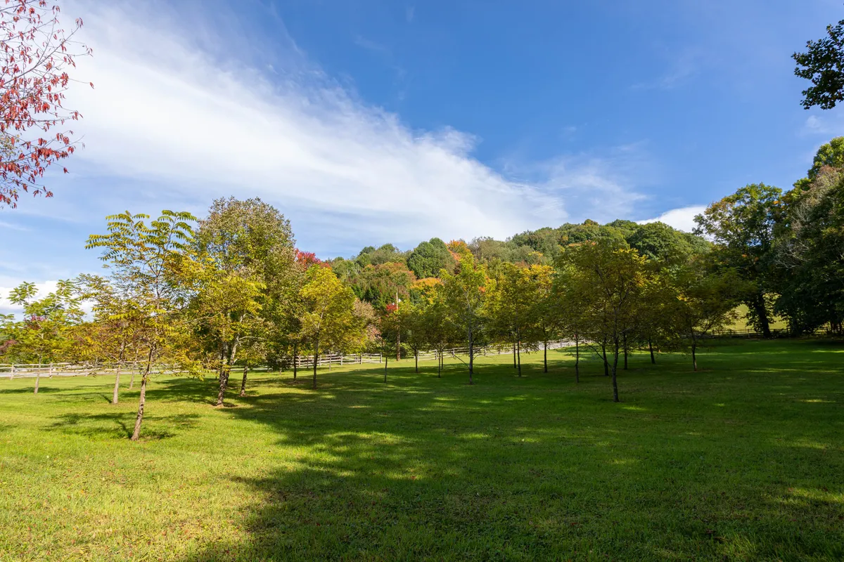 A wide landscape of grassy fields bordered by trees and distant blue hills under an expansive sky. The open space is ideal for outdoor gatherings, with natural beauty that changes through the seasons, making it suitable for festivals, picnics, and seasonal celebrations.