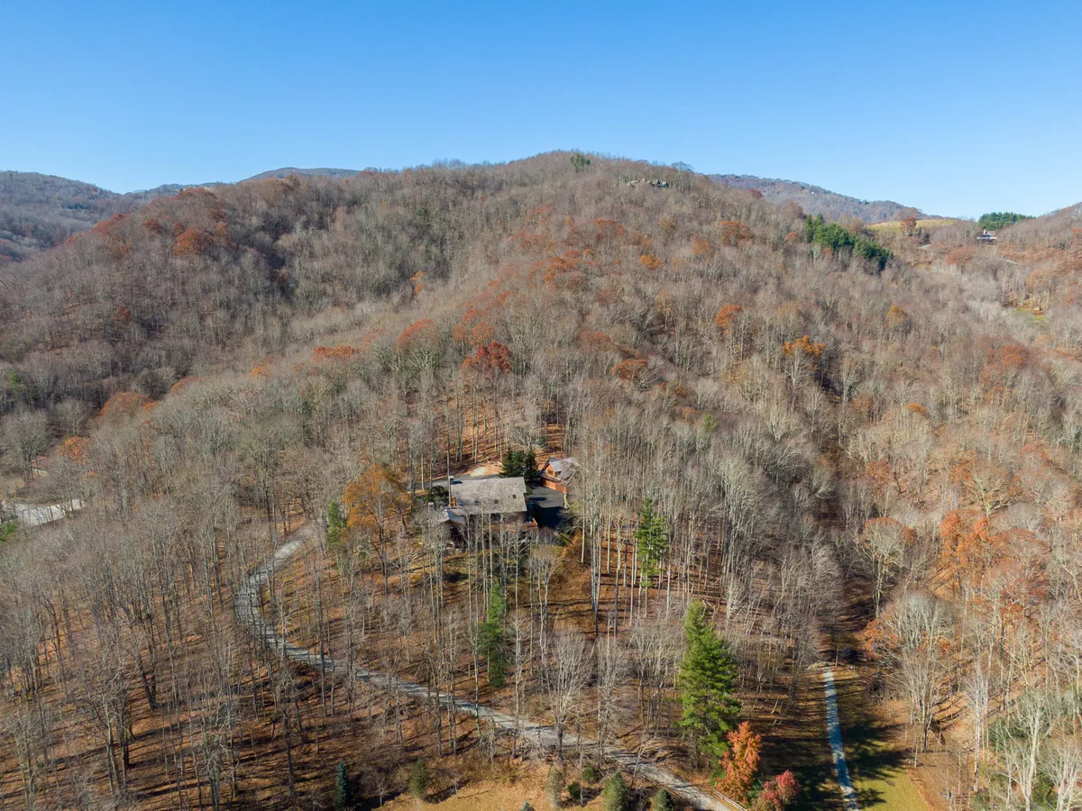 The house is nestled among tall trees, with a winding natural path leading up to it and a majestic mountain backdrop. The setting is secluded and serene, highlighting opportunities for wildlife sightings, peaceful walks, and stargazing from the property.